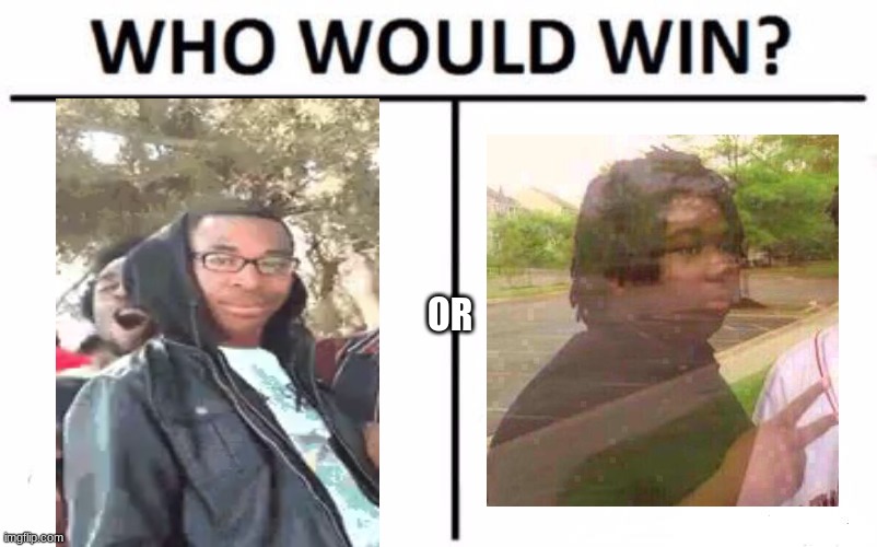 Who Would Win? | OR | image tagged in memes,who would win | made w/ Imgflip meme maker