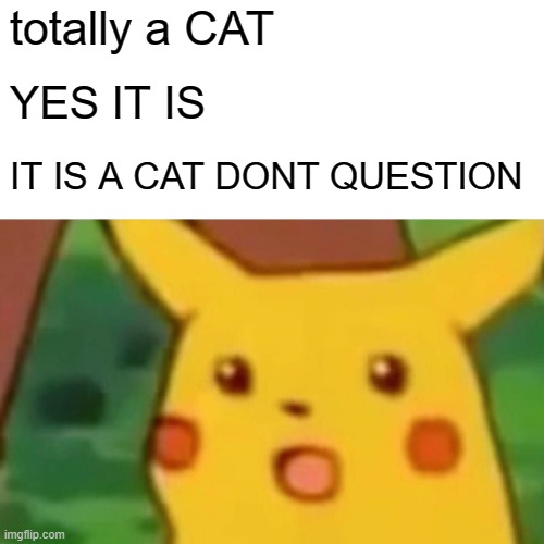Yes i read the pro tips for cat stream | totally a CAT; YES IT IS; IT IS A CAT DONT QUESTION | image tagged in memes,surprised pikachu | made w/ Imgflip meme maker