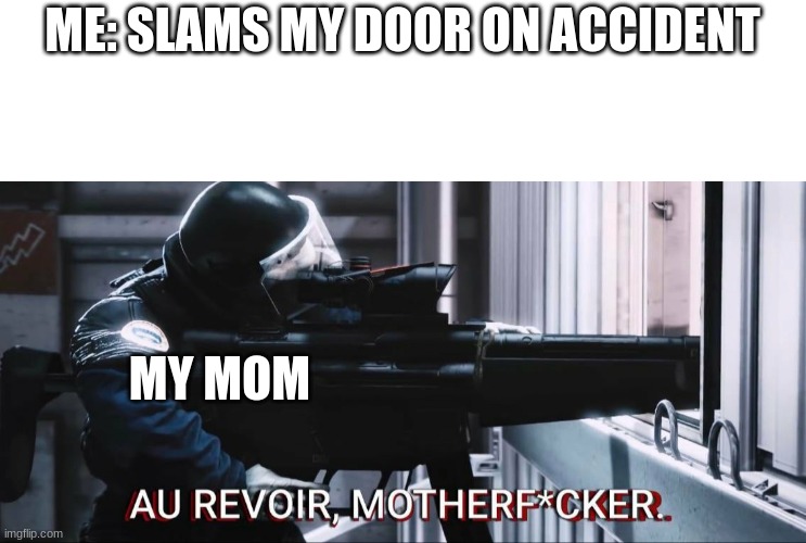 welp im f*cked | ME: SLAMS MY DOOR ON ACCIDENT; MY MOM | image tagged in au revoir | made w/ Imgflip meme maker