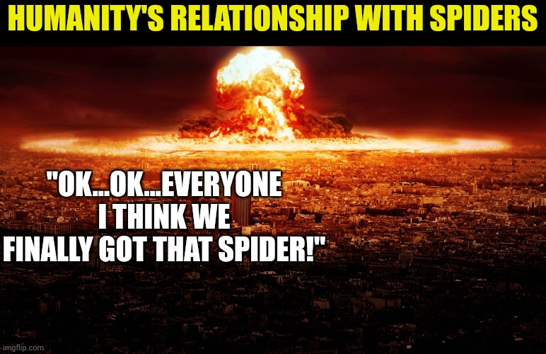 Spiders.......we just don't like em | HUMANITY'S RELATIONSHIP WITH SPIDERS; "OK...OK...EVERYONE I THINK WE FINALLY GOT THAT SPIDER!" | image tagged in massive nuclear explosion destroying city,spiders,humanity | made w/ Imgflip meme maker