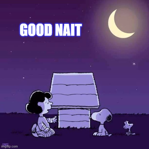 GOOD NAIT | GOOD NAIT | image tagged in good night | made w/ Imgflip meme maker