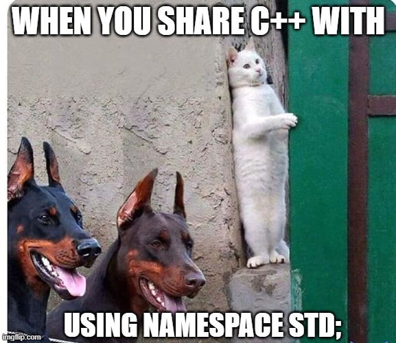 Where my dog's at? | WHEN YOU SHARE C++ WITH; USING NAMESPACE STD; | image tagged in hidden cat,programming,programmers,cplusplus,coding,cxx | made w/ Imgflip meme maker