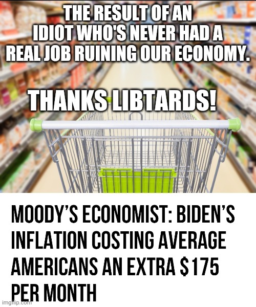 Idiot in chief | THE RESULT OF AN IDIOT WHO'S NEVER HAD A REAL JOB RUINING OUR ECONOMY. THANKS LIBTARDS! | image tagged in biden | made w/ Imgflip meme maker