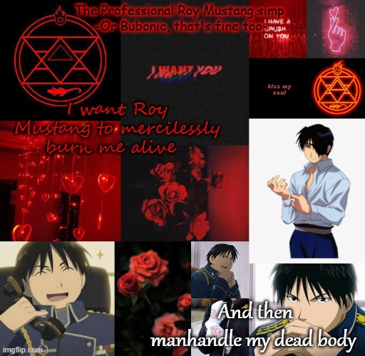 I am a professional Roy Mustang simp | I want Roy Mustang to mercilessly burn me alive; And then manhandle my dead body | image tagged in i am a professional roy mustang simp | made w/ Imgflip meme maker