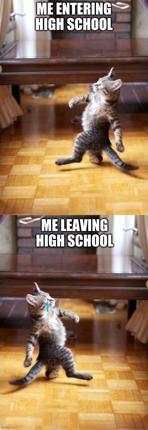 *sniff* | ME ENTERING HIGH SCHOOL; ME LEAVING HIGH SCHOOL | image tagged in memes,cool cat stroll | made w/ Imgflip meme maker