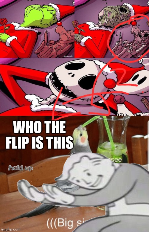 Hold up wait a minute | WHO THE FLIP IS THIS | image tagged in stupid | made w/ Imgflip meme maker
