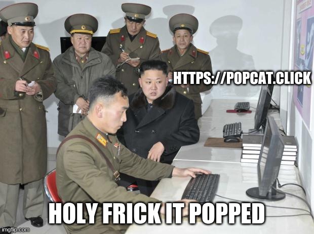 North Korean Computer | HTTPS://POPCAT.CLICK; HOLY FRICK IT POPPED | image tagged in north korean computer | made w/ Imgflip meme maker
