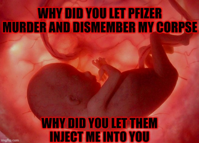 Wholesale slaughter | WHY DID YOU LET PFIZER MURDER AND DISMEMBER MY CORPSE; WHY DID YOU LET THEM
INJECT ME INTO YOU | image tagged in fetus,pfizer,vaccine,dead,baby,shots | made w/ Imgflip meme maker