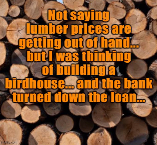 Not saying lumber prices are getting out of hand... but I was thinking of building a birdhouse... and the bank turned down the loan... | image tagged in funny memes | made w/ Imgflip meme maker