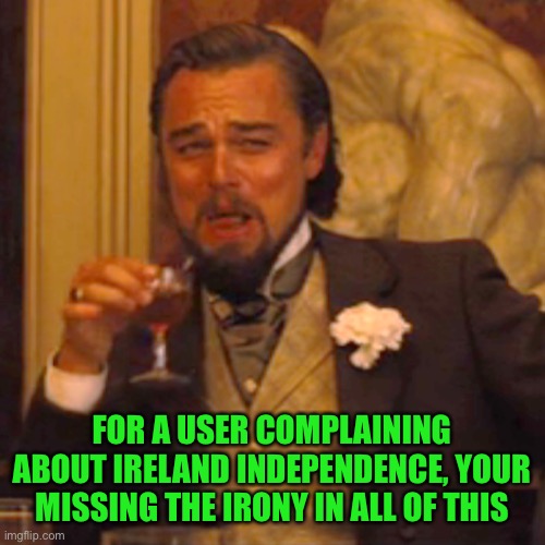 Laughing Leo Meme | FOR A USER COMPLAINING ABOUT IRELAND INDEPENDENCE, YOUR MISSING THE IRONY IN ALL OF THIS | image tagged in memes,laughing leo | made w/ Imgflip meme maker