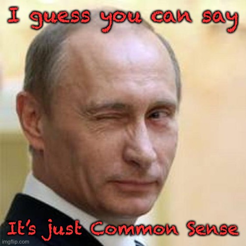 Putin Wink | I guess you can say It’s just Common Sense | image tagged in putin wink | made w/ Imgflip meme maker
