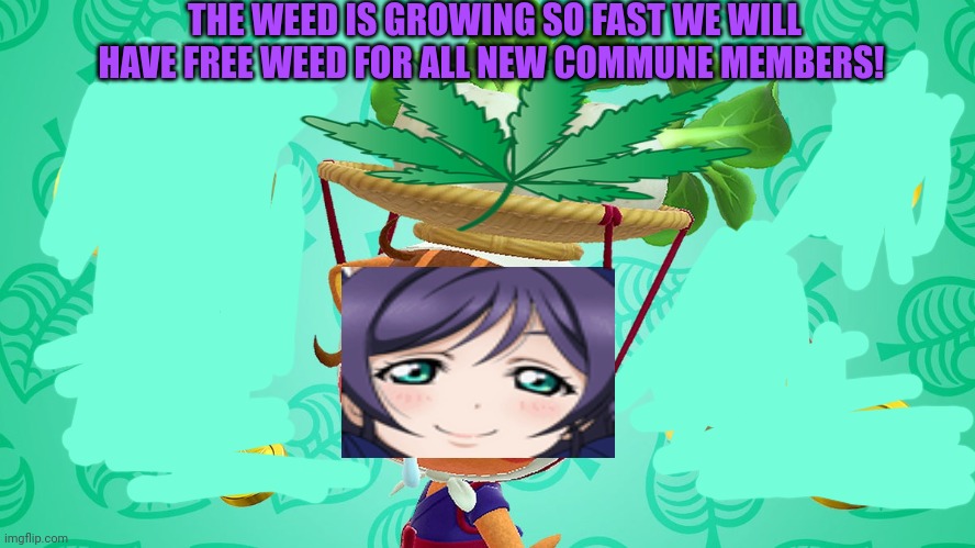 Free weed! | THE WEED IS GROWING SO FAST WE WILL HAVE FREE WEED FOR ALL NEW COMMUNE MEMBERS! | image tagged in ac turnip,weed,hippie,free weed | made w/ Imgflip meme maker