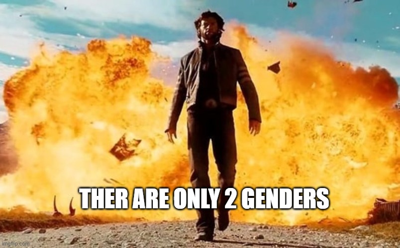 Guy Walking Away From Explosion | THER ARE ONLY 2 GENDERS | image tagged in guy walking away from explosion | made w/ Imgflip meme maker