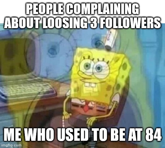 Internal screaming | PEOPLE COMPLAINING ABOUT LOOSING 3 FOLLOWERS; ME WHO USED TO BE AT 84 | image tagged in internal screaming | made w/ Imgflip meme maker