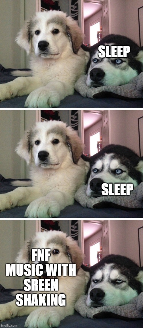 bruh i can't sleep that's why i hate sleeping |  SLEEP; SLEEP; FNF MUSIC WITH SREEN SHAKING | image tagged in bad pun dogs,trying to sleep,fnf | made w/ Imgflip meme maker