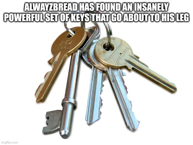 This is the beginning of the end | ALWAYZBREAD HAS FOUND AN INSANELY POWERFUL SET OF KEYS THAT GO ABOUT TO HIS LEG | image tagged in keys | made w/ Imgflip meme maker
