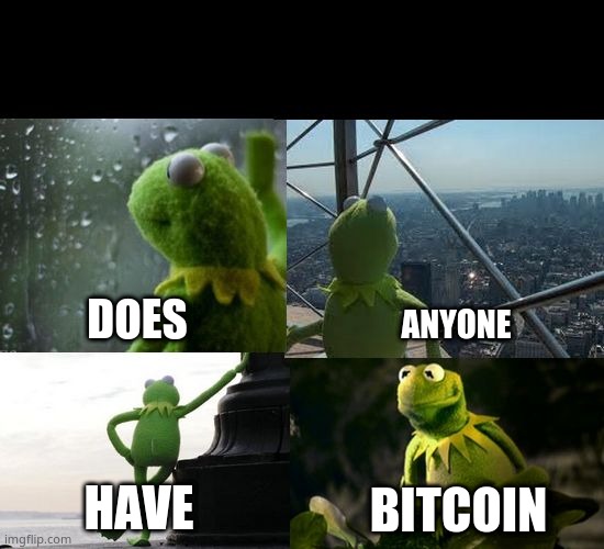 imma keep asking | DOES; ANYONE; HAVE; BITCOIN | image tagged in sad kermit,please | made w/ Imgflip meme maker