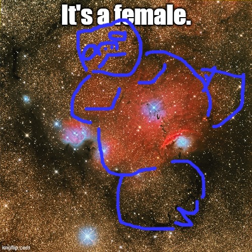 It's a female. | made w/ Imgflip meme maker