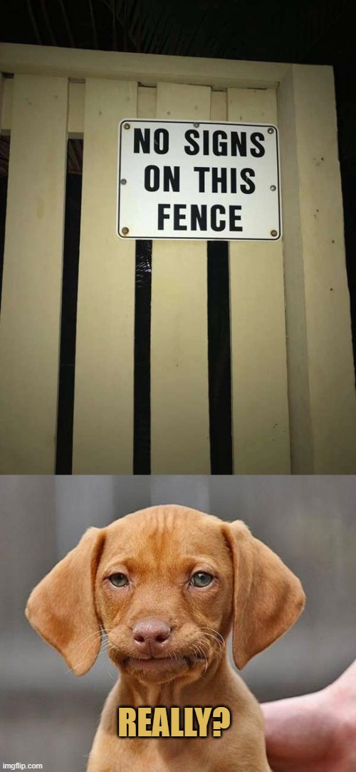 ironic |  REALLY? | image tagged in yup,irony,fence,you had one job | made w/ Imgflip meme maker