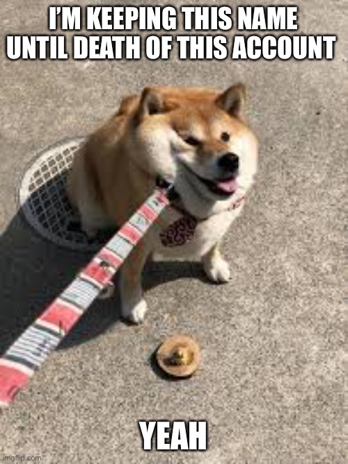 Squishy doggo leash | I’M KEEPING THIS NAME UNTIL DEATH OF THIS ACCOUNT; YEAH | image tagged in squishy doggo leash | made w/ Imgflip meme maker