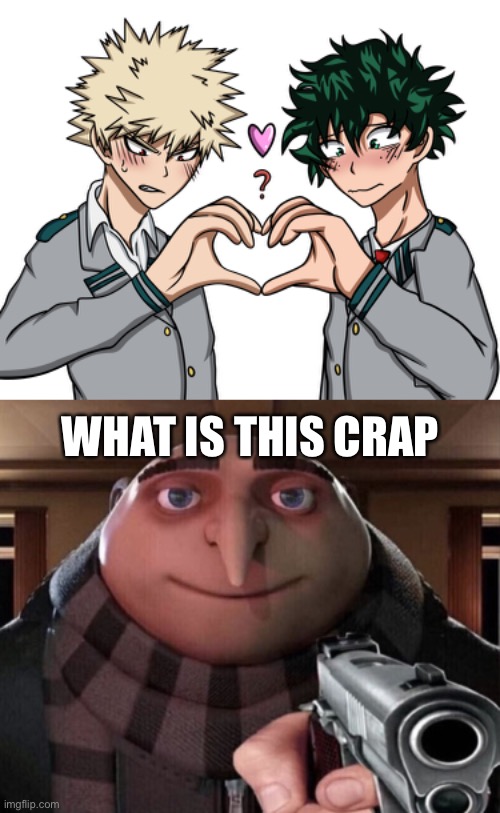 No, just no | WHAT IS THIS CRAP | image tagged in gru gun | made w/ Imgflip meme maker