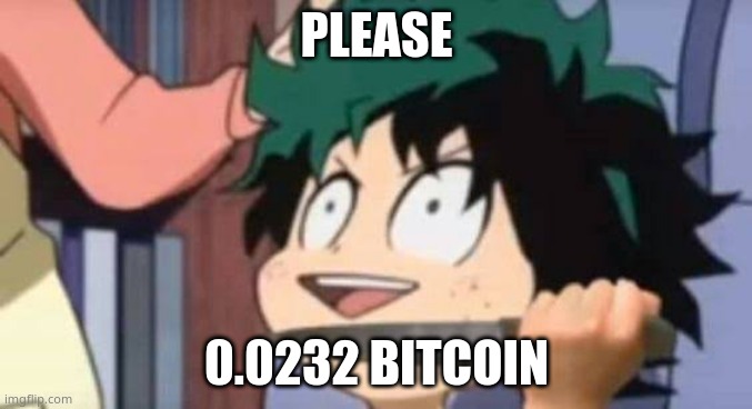 i'll work for it | PLEASE; 0.0232 BITCOIN | image tagged in deku wants to kill u | made w/ Imgflip meme maker