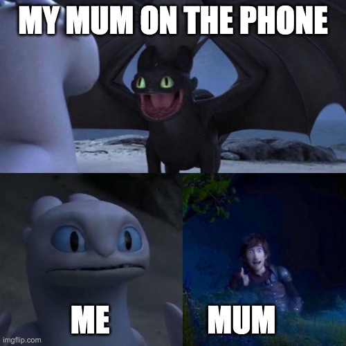 if you like this give a like and a comment...thank you | MY MUM ON THE PHONE; ME                MUM | image tagged in toothless presents himself | made w/ Imgflip meme maker