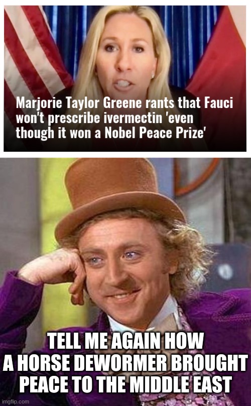 Ah yes...the Ivermectin Peace Accords... | TELL ME AGAIN HOW A HORSE DEWORMER BROUGHT PEACE TO THE MIDDLE EAST | image tagged in memes,creepy condescending wonka | made w/ Imgflip meme maker