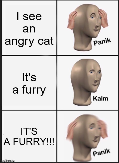 If you're a furry then why did you join a meme app containing 50% of holy memes? Deal with it. And don't report bc i have an opi | I see an angry cat; It's a furry; IT'S A FURRY!!! | image tagged in memes,panik kalm panik,deal with it | made w/ Imgflip meme maker