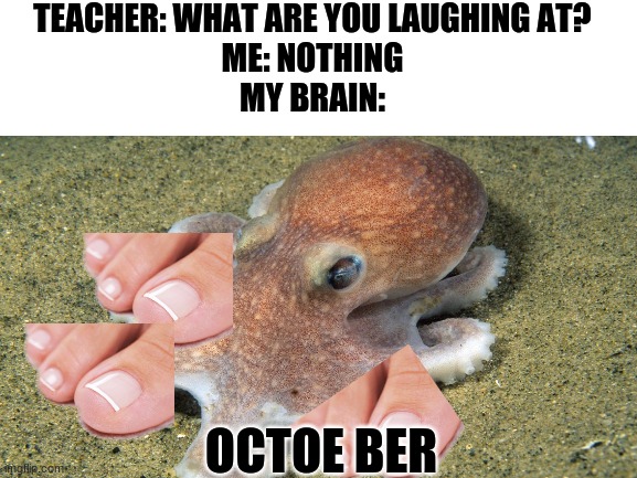 The real October | TEACHER: WHAT ARE YOU LAUGHING AT?
ME: NOTHING
MY BRAIN:; OCTOE BER | image tagged in october,octopus,toes | made w/ Imgflip meme maker