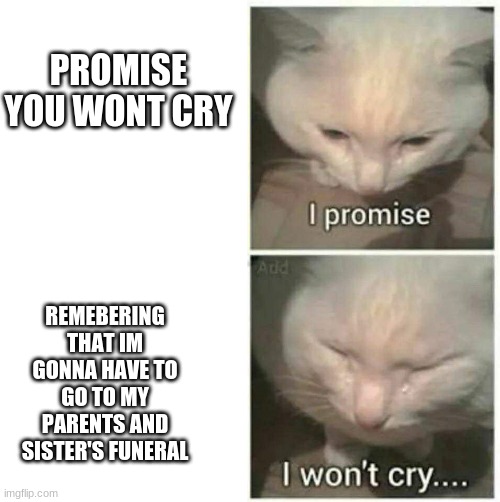 I promise I won't cry | PROMISE YOU WONT CRY; REMEBERING THAT IM GONNA HAVE TO GO TO MY PARENTS AND SISTER'S FUNERAL | image tagged in i promise i won't cry | made w/ Imgflip meme maker