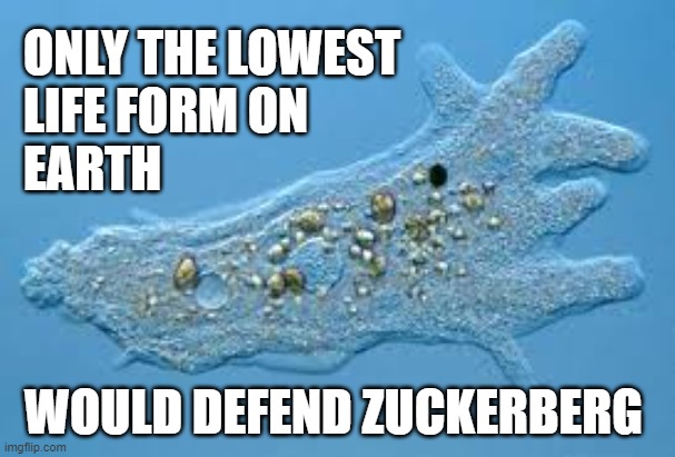 Amoeba | ONLY THE LOWEST
LIFE FORM ON
EARTH WOULD DEFEND ZUCKERBERG | image tagged in amoeba | made w/ Imgflip meme maker