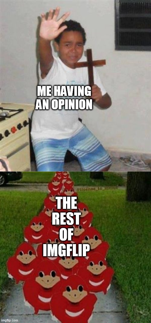 sad | THE REST OF IMGFLIP; ME HAVING AN OPINION | image tagged in scared kid,ugandan knuckles army,memes,opinion,e | made w/ Imgflip meme maker