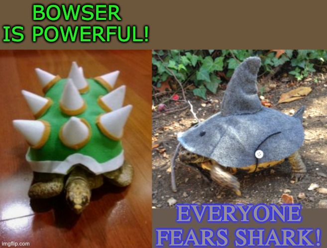 Celebrate Halloween with a Turtle Costume Battle | BOWSER IS POWERFUL! EVERYONE FEARS SHARK! | image tagged in halloween,happy halloween,turtles,costume,spooktober | made w/ Imgflip meme maker