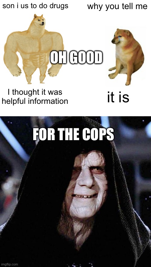 son i us to do drugs; why you tell me; OH GOOD; I thought it was helpful information; it is; FOR THE COPS | image tagged in memes,buff doge vs cheems | made w/ Imgflip meme maker