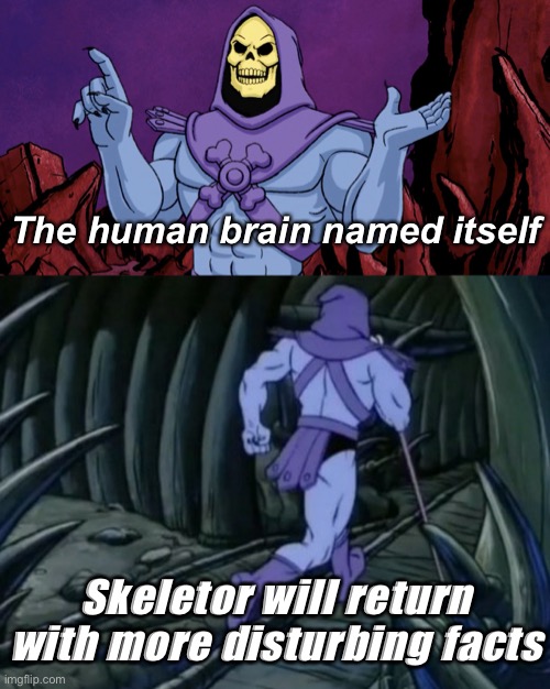 Skeletor until we meet again |  The human brain named itself; Skeletor will return with more disturbing facts | image tagged in skeletor until we meet again | made w/ Imgflip meme maker