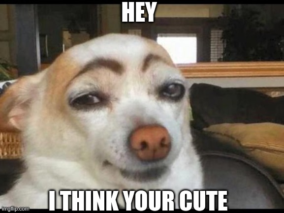 hey smexy | HEY; I THINK YOUR CUTE | image tagged in how you doin' | made w/ Imgflip meme maker