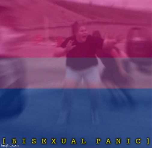 New template | image tagged in bisexual panic | made w/ Imgflip meme maker