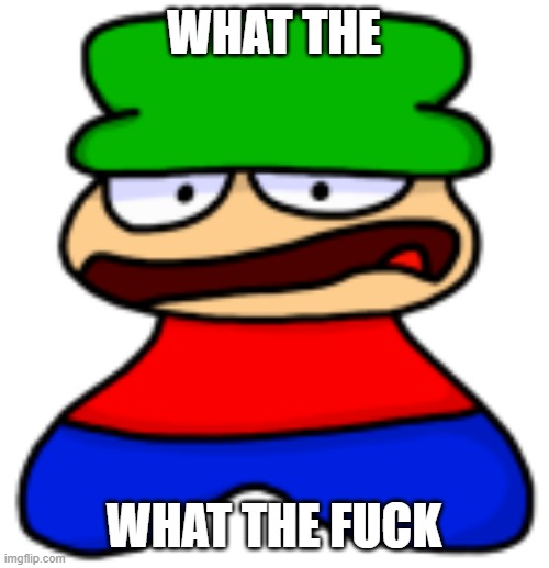 WHAT THE WHAT THE FUCK | made w/ Imgflip meme maker