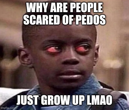 High | WHY ARE PEOPLE SCARED OF PEDOS; JUST GROW UP LMAO | image tagged in high kid | made w/ Imgflip meme maker