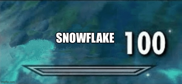 Skyrim skill meme | SNOWFLAKE | image tagged in skyrim skill meme | made w/ Imgflip meme maker
