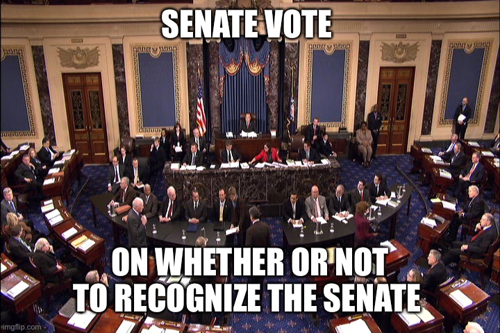 lol | SENATE VOTE; ON WHETHER OR NOT TO RECOGNIZE THE SENATE | image tagged in senate floor | made w/ Imgflip meme maker