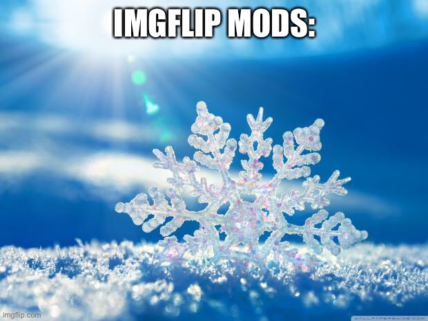 snowflake | IMGFLIP MODS: | image tagged in snowflake | made w/ Imgflip meme maker