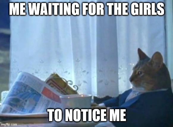 I Should Buy A Boat Cat |  ME WAITING FOR THE GIRLS; TO NOTICE ME | image tagged in memes | made w/ Imgflip meme maker