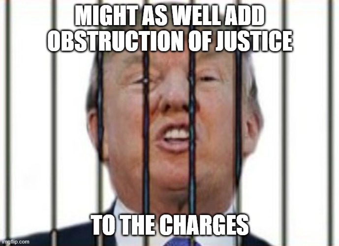 Donald Trump For Prison | MIGHT AS WELL ADD OBSTRUCTION OF JUSTICE; TO THE CHARGES | image tagged in donald trump for prison | made w/ Imgflip meme maker