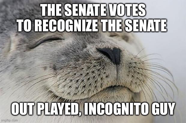 “sometimes my genius is almost frightening” | THE SENATE VOTES TO RECOGNIZE THE SENATE; OUT PLAYED, INCOGNITO GUY | image tagged in memes,satisfied seal | made w/ Imgflip meme maker