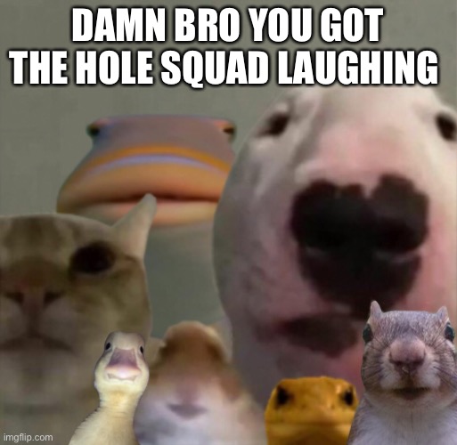 The council remastered | DAMN BRO YOU GOT THE HOLE SQUAD LAUGHING | image tagged in the council remastered | made w/ Imgflip meme maker