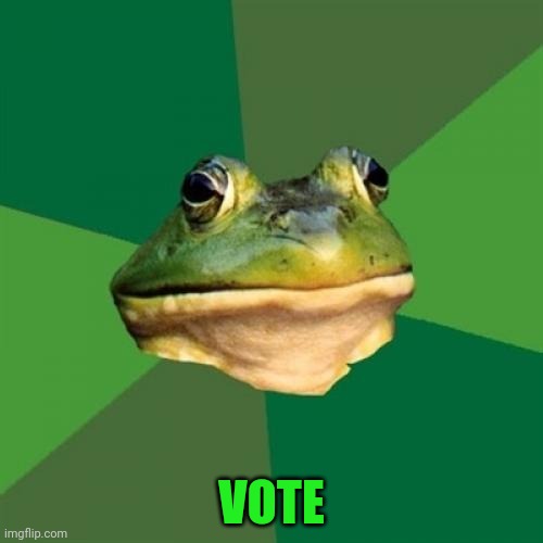 Foul Bachelor Frog Meme | VOTE | image tagged in memes,foul bachelor frog | made w/ Imgflip meme maker