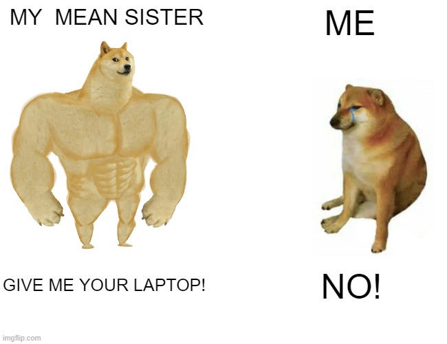 Buff Doge vs. Cheems | MY  MEAN SISTER; ME; GIVE ME YOUR LAPTOP! NO! | image tagged in memes,buff doge vs cheems | made w/ Imgflip meme maker