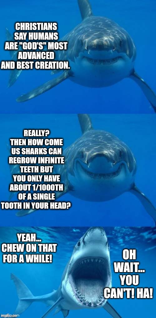 Sharks of Wisdom | CHRISTIANS SAY HUMANS ARE "GOD'S" MOST ADVANCED AND BEST CREATION. REALLY? THEN HOW COME US SHARKS CAN REGROW INFINITE TEETH BUT YOU ONLY HAVE ABOUT 1/1000TH OF A SINGLE TOOTH IN YOUR HEAD? YEAH... CHEW ON THAT FOR A WHILE! OH WAIT... YOU CAN'T! HA! | image tagged in bad shark pun,funny,atheist,science,teeth | made w/ Imgflip meme maker